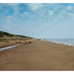Plage d&#039;Ansedonia
