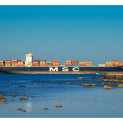 Cargo MSC