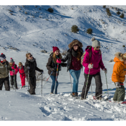 Janvier 2015