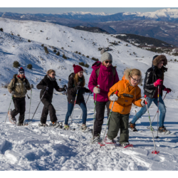 Janvier 2015