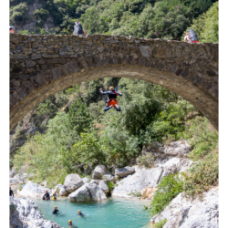 Juillet 2015