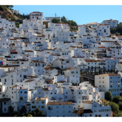 Casares