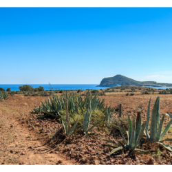 Playa de los Genoveses