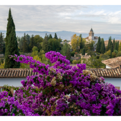 Generalife