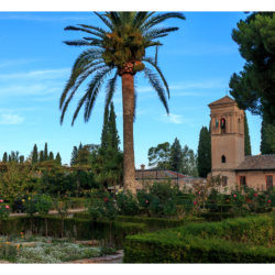 Jardin du convento San Fransisco
