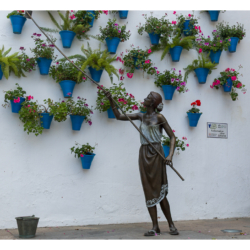 Plaza Puerta del Rincón