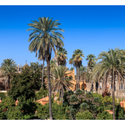 Real Alcázar de Sevilla