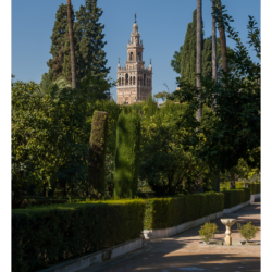 Real Alcázar de Sevilla