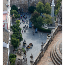 Cadetral de Sevilla