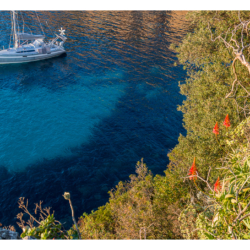 Anse de l&#039;argent faux