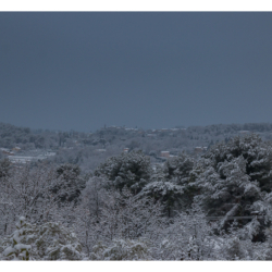 Opio sous la neige