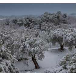 Villa Rossignol sous la neige