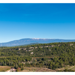 Le mont Ventoux depuis Venasque