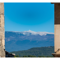 Le mont Ventoux depuis Venasque