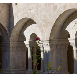 Abbaye notre-dame de Sénanque