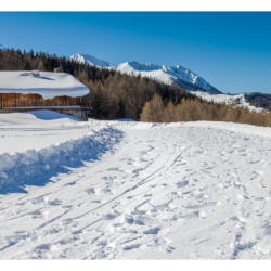 La Plagne février 2019