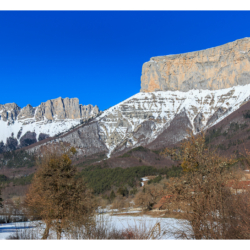 Février 2019