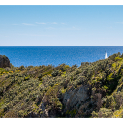 Ballade entre l&#039;Escalet et le Cap Lardier