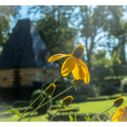 Le Périgord Noir