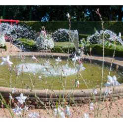 Eyrignac et ses jardins