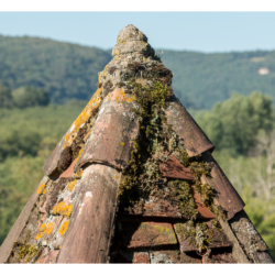 Le Périgord Noir