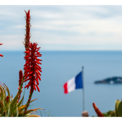 Le jardin exotique d&#039;Eze