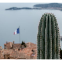 Le jardin exotique d&#039;Eze