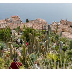 Le jardin exotique d&#039;Eze