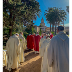 Messe des Rameaux