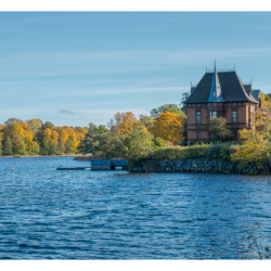 Ile Djurgården