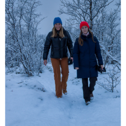 Parc national d&#039;Abisko