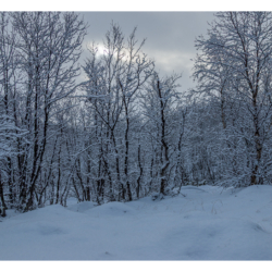 Parc national d&#039;Abisko