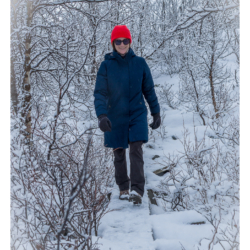 Parc national d&#039;Abisko