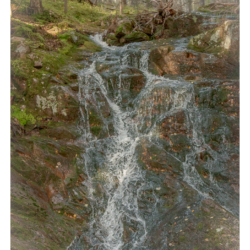 Parc national de Skuleskogen