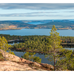 Parc national de Skuleskogen