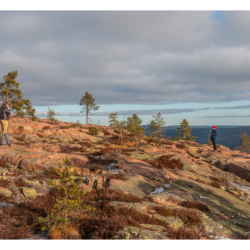 Parc national de Skuleskogen