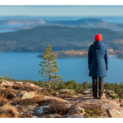 Parc national de Skuleskogen