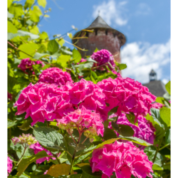 Collonges-la-Rouge