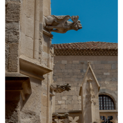 Narbonne