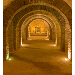 Abbaye Saint-Martin-du-Canigou